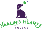 Healing Hearts