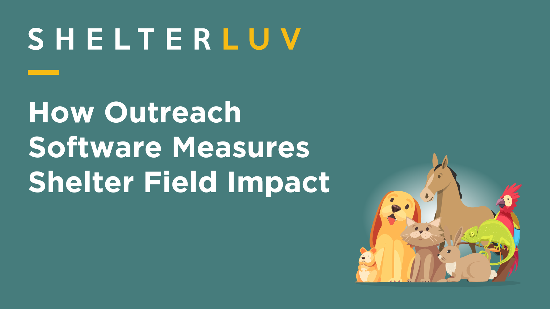 How Outreach Software Measures Shelter Field Impact